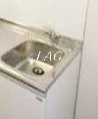 【その他】 | プランドールＯｓｕ | シンクです。