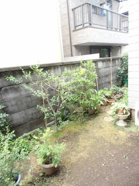 ルミエールの展望|バルコニーから見た景色