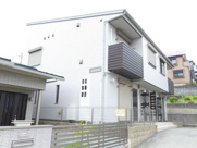 フィカーサ　セレッソの画像