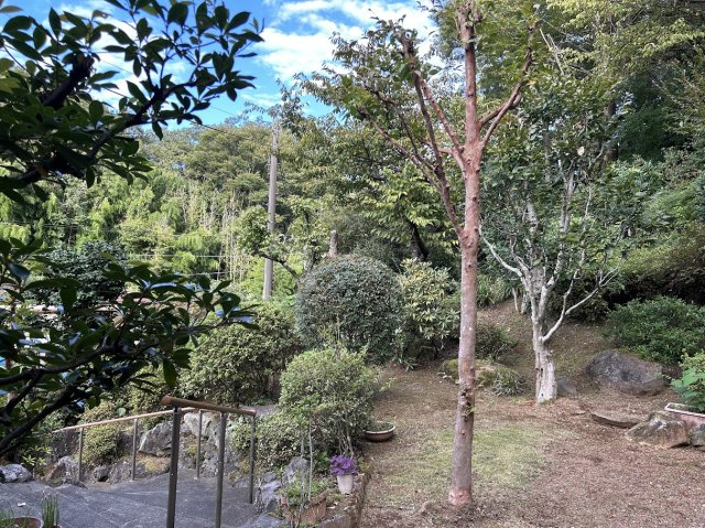 薪ストーブのある店舗付き住宅の庭|ガーデニングや菜園が可能