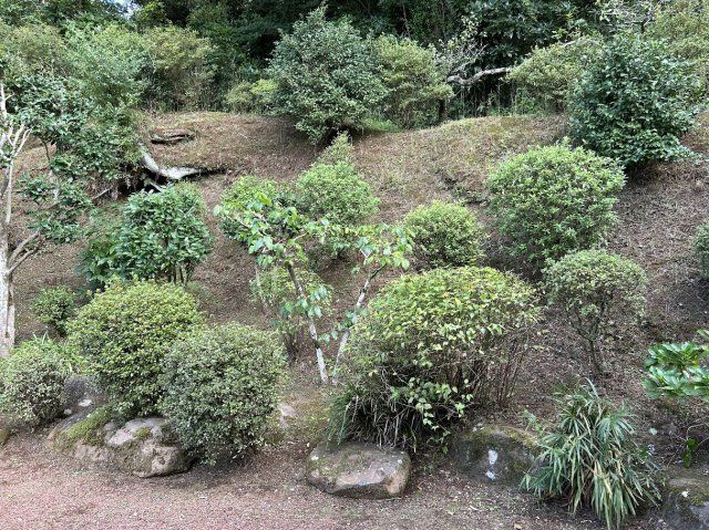 薪ストーブのある店舗付き住宅の庭|四季折々の木が植えられています