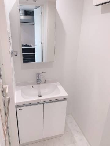 リヴシティ向島参番館の洗面所