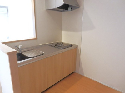 【洗面所】 | エコーハイツⅠ | 洗面所です