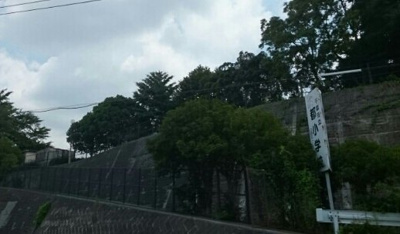 【周辺】 | シルフィード | 都小学校まで1080m