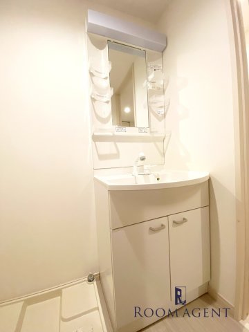 リブリ・自由ヶ丘コートの洗面所