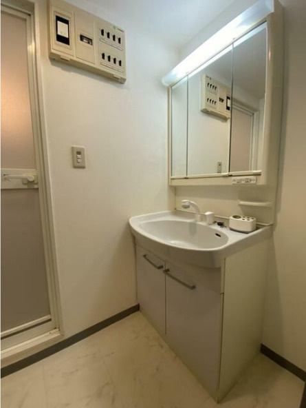 上馬ハイデンス　ペット相談　宅配BOX　防犯カメラ　の洗面所