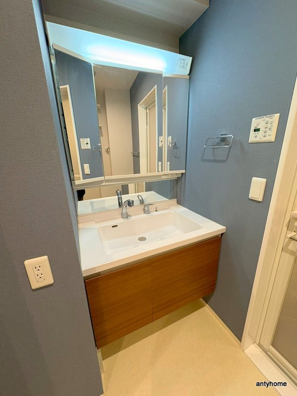 Auvergne Seybeの洗面所