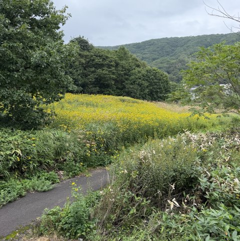 クリーンコーポ藍の展望