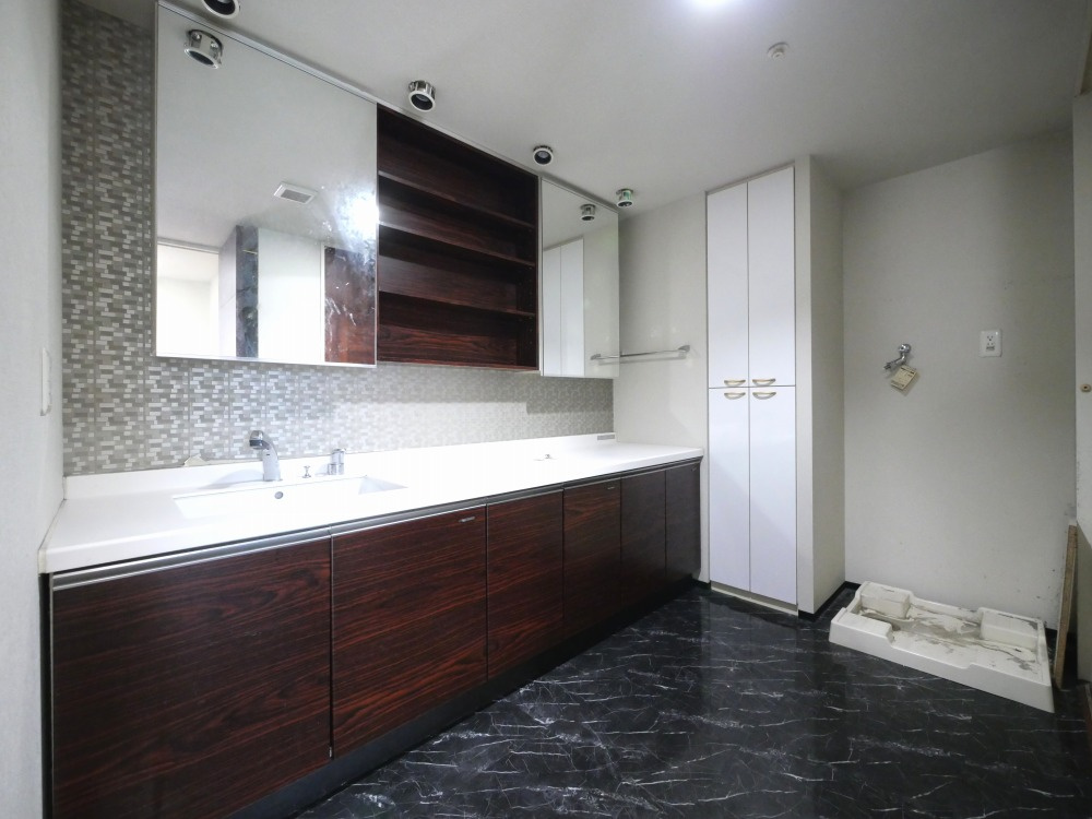 レジディア心斎橋ウエストの洗面所