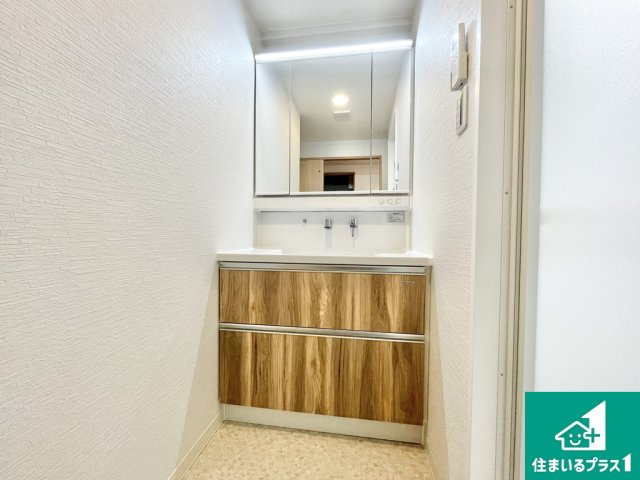 ライオンズマンション上野芝ガーデンシティの独立洗面台