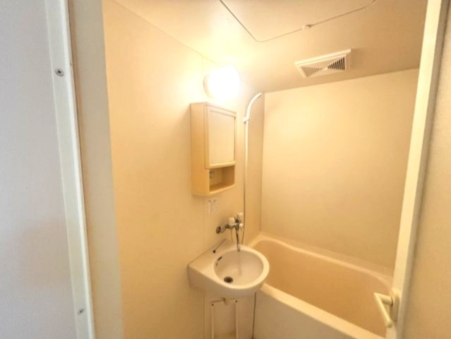 ラムールイワヤの洗面所