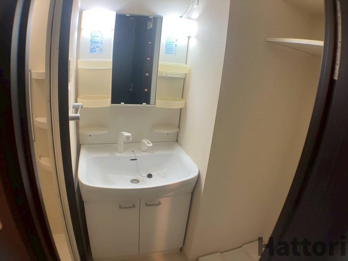 Gramercy Juso-higashi 2ndの洗面所