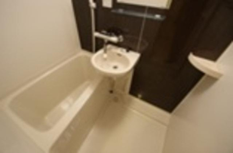 THEパームス新小岩の洗面所