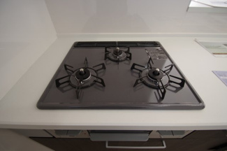 【外観】 | 【仲介手数料無料！！】日野市西平山5丁目　新築戸建て（全2棟）2号棟　4199万円 | 令和７年11月15日撮影　建築中