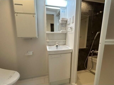 【洗面所】 | セイ金町（SAIE金町）