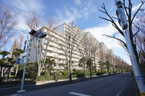 サンライトパストラル五番街D棟の画像