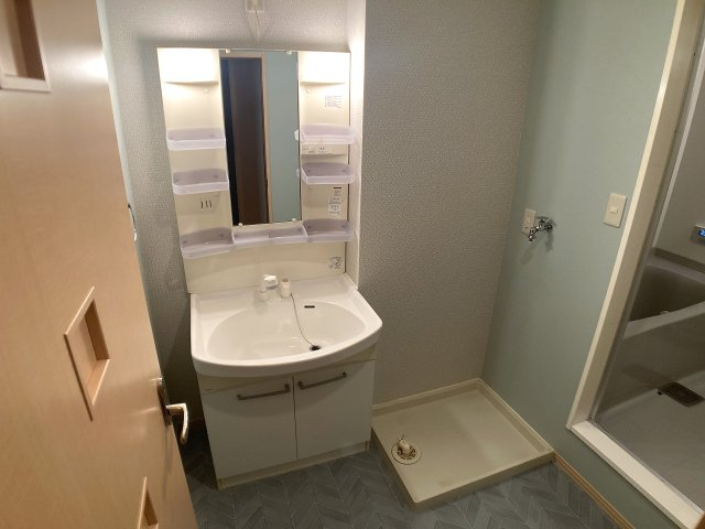 ＨＩＴＯＭＩ　ＤＯＲＭＩＴＯＲＹの洗面所|シャワー付きの独立洗面台完備、脱衣所も広々