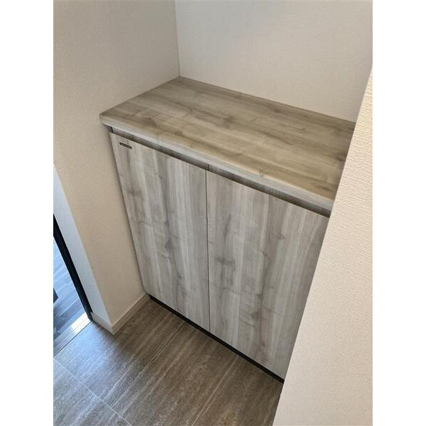 S-RESIDENCE金山altano(アルターノ)の収納|こまごまとしたものを収納できそうですね