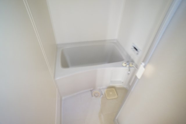 マウントヴィレヂⅤの浴室