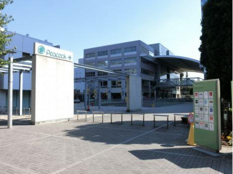 スカイコート文京白山の周辺|グリーンコート