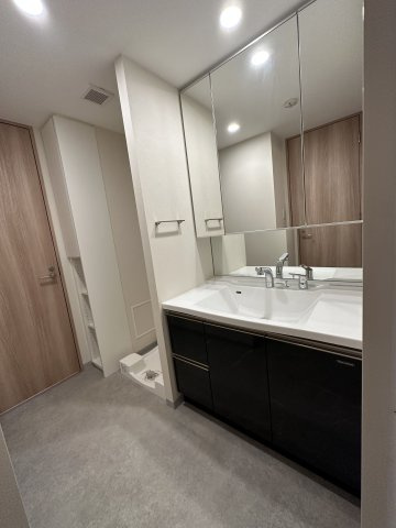 川崎市多摩区西生田３丁目の賃貸マンションの洗面所