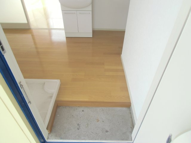 ダイワティアラ津田沼Ⅳの玄関|広い造がいいですね