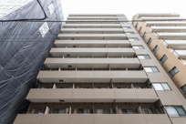 菱和パレス大森の画像