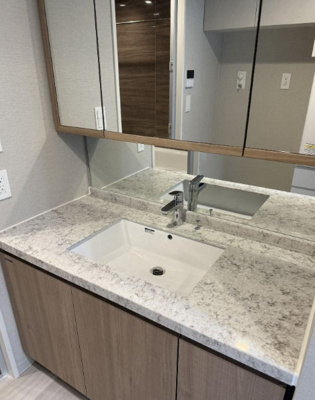 【独立洗面台】 | リバーガーデン四天王寺