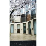 サクラノキテラス中目黒の画像