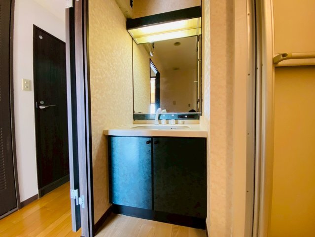 ライオンズマンション八街中央の独立洗面台