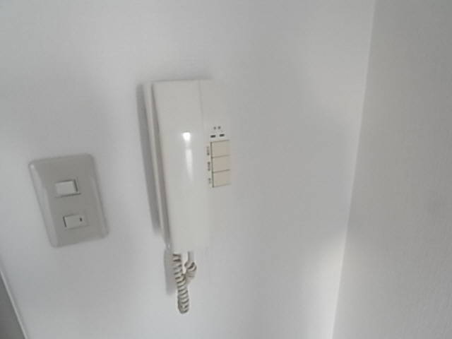 ルネッサンス王子のセキュリティ