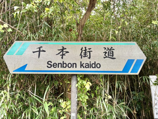 売土地　富士市東柏原新田の周辺|南側は千本街道に面してます（県道３８０号）
