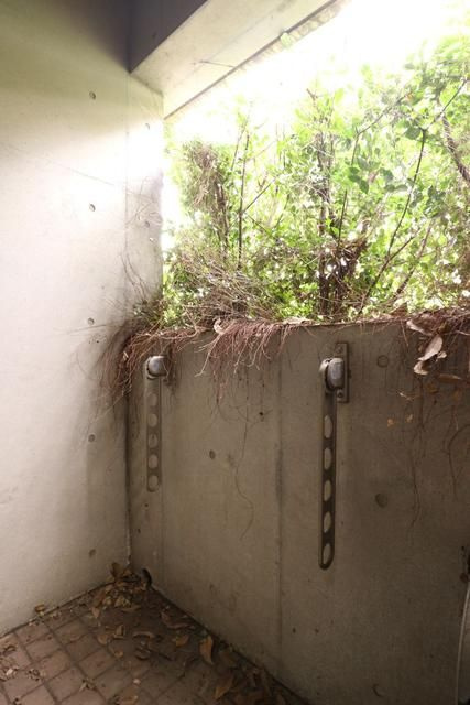 桜館のバルコニー