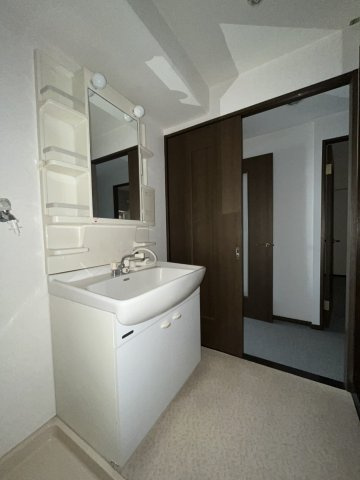 ナイスアーバン堤下の独立洗面台|洗面所のすぐ脇にはバスルームあり。