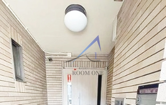 パインヒルズキリタ