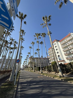 リビエラ逗子マリーナ 徒歩21分。★★大人気観光スポット逗子マリーナ★★ 1620m