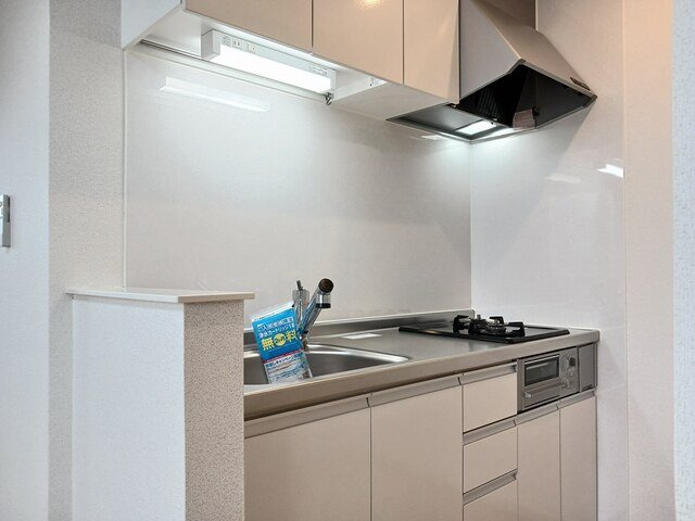 サンテェラスⅡ　Ａのキッチン|キッチンです