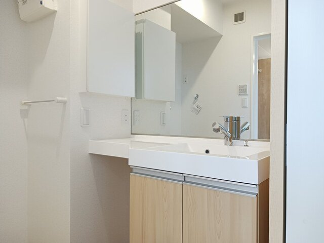 サンテェラスⅡ　Ａの洗面所|広い洗面スペース