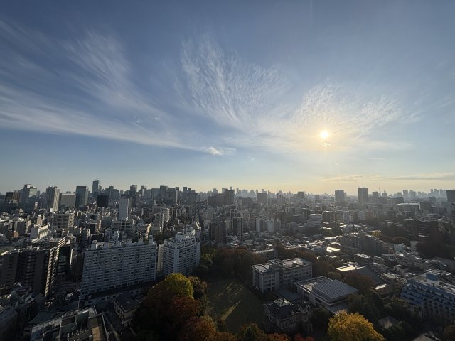 ブリリアタワー上野池之端の展望