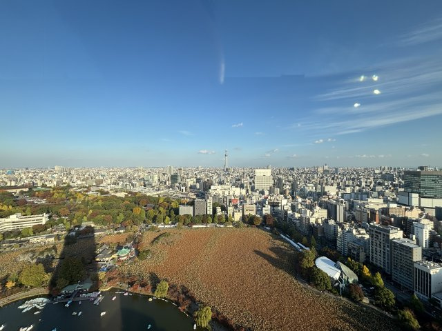 ブリリアタワー上野池之端の展望