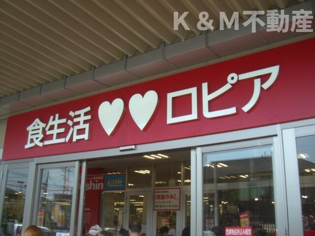 リカスコートの周辺|ロピアアクロスプラザ…まで915m 