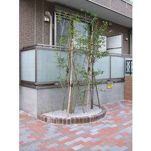 【その他共用部分】 | エミ・アミティエ立川羽衣