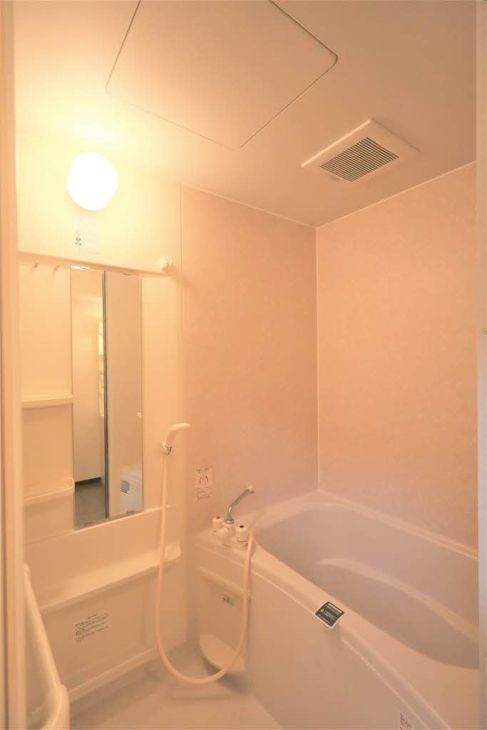 ミナミタウンスギの浴室