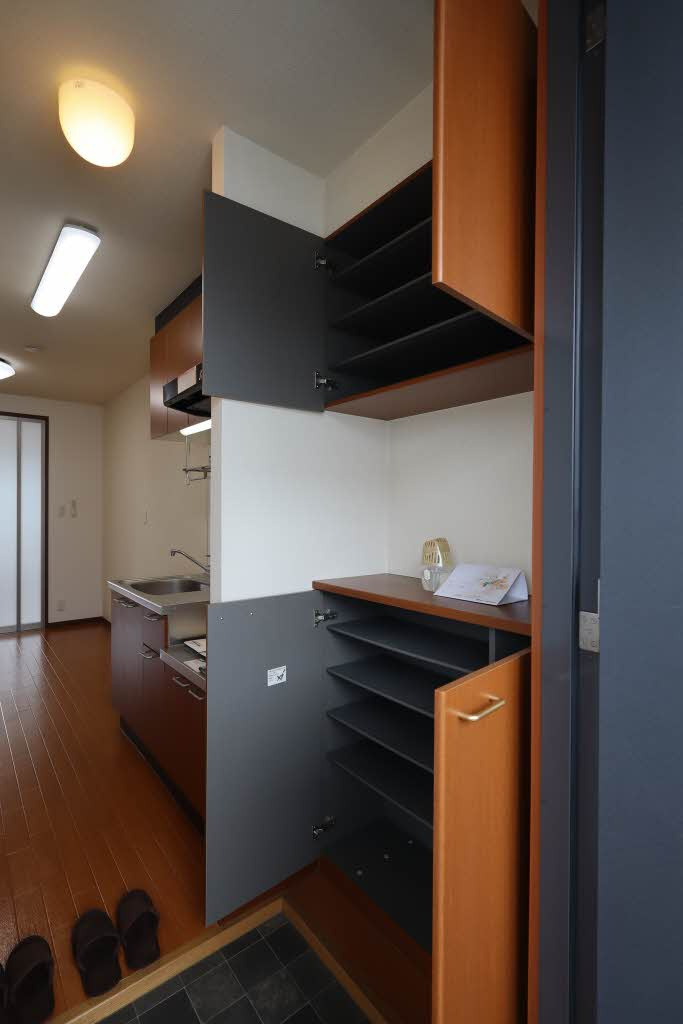 ミナミタウンスギの玄関