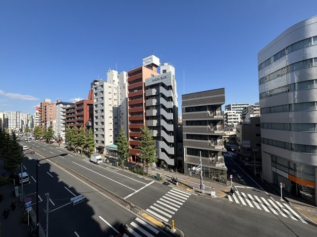 六義園サマリヤマンションの展望
