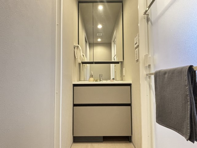 六義園サマリヤマンションの独立洗面台