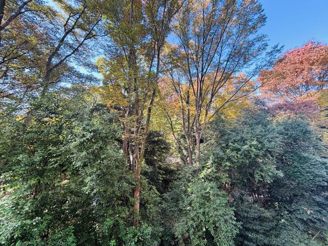 六義園サマリヤマンションの展望