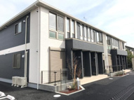 Ｍｉｎｅｔｔｅ（ミネット）の画像