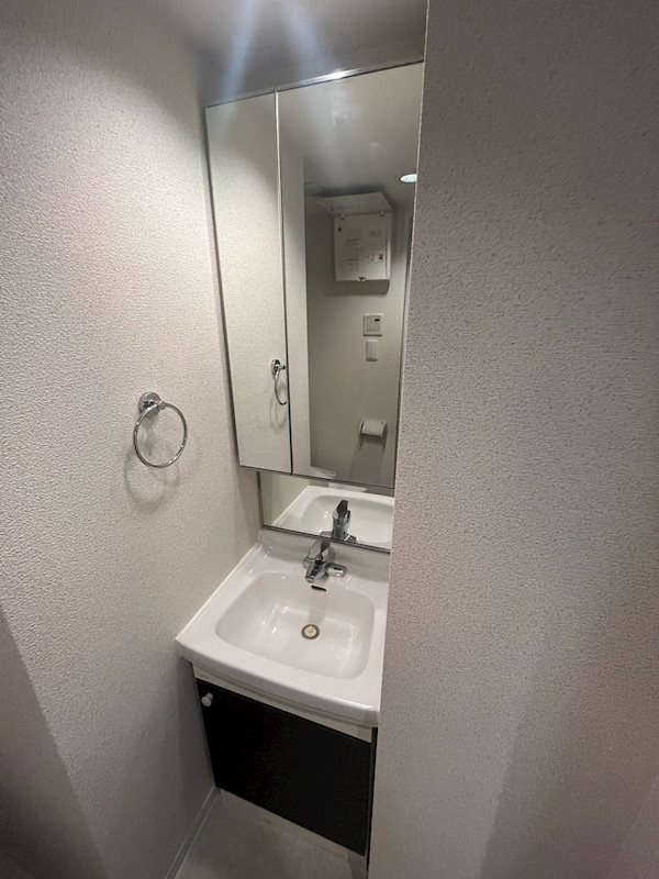 エステムコート神戸・県庁前Ⅳグランディオの洗面所