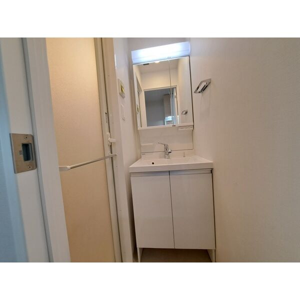 スプランディッド十三本町の洗面所